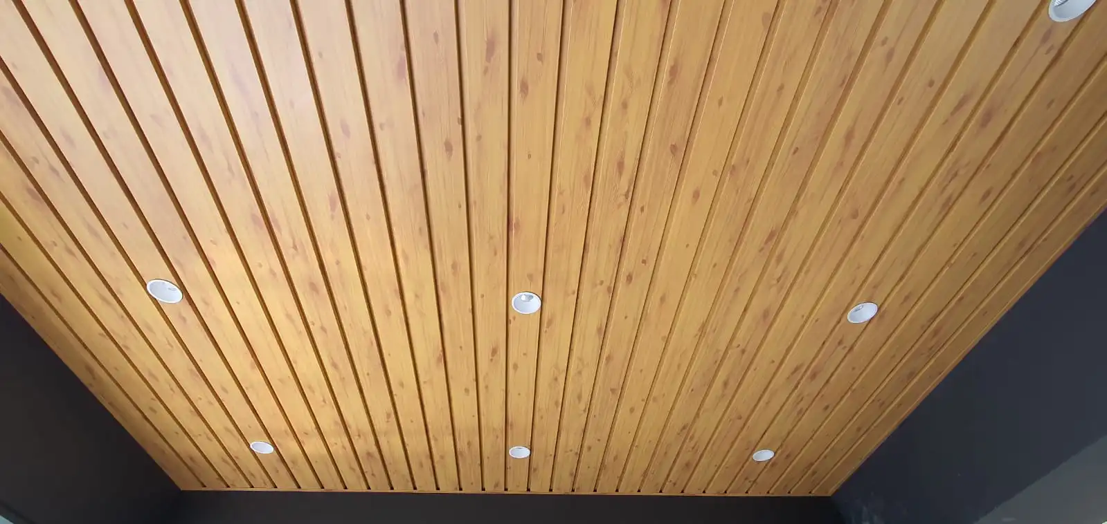 PVC ceiling image